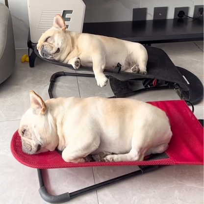 Luxury Swingo dog rocking chair for ultimate pet comfort & relaxation. Stylish indoor/outdoor portable pet bed.
