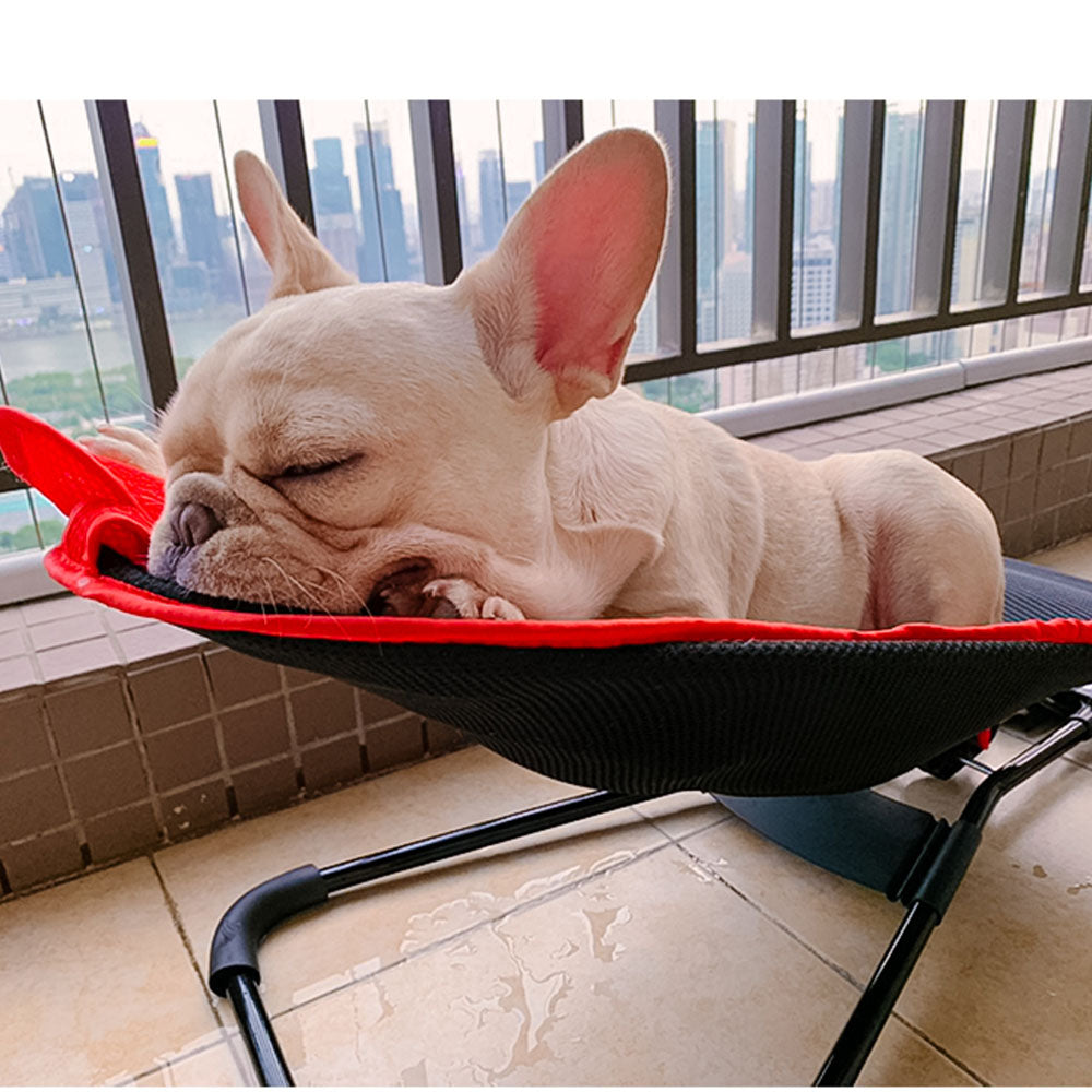 Elegant design of Swingo luxury dog rocking chair, featuring soft cushion for pet comfort & relaxation.