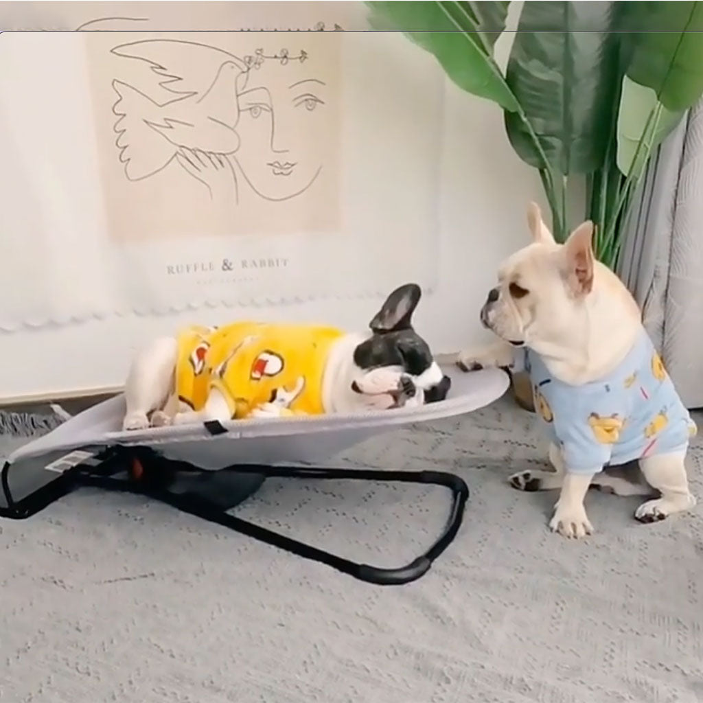 Swingo luxury dog rocking chair providing gentle rocking motion for pet comfort, relaxation, and a cozy pet bed.