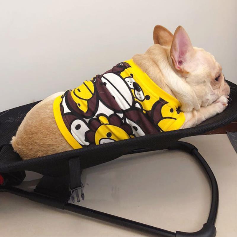 Premium Swingo luxury dog rocking chair, a durable & comfortable pet bed for dog relaxation and happy pets.