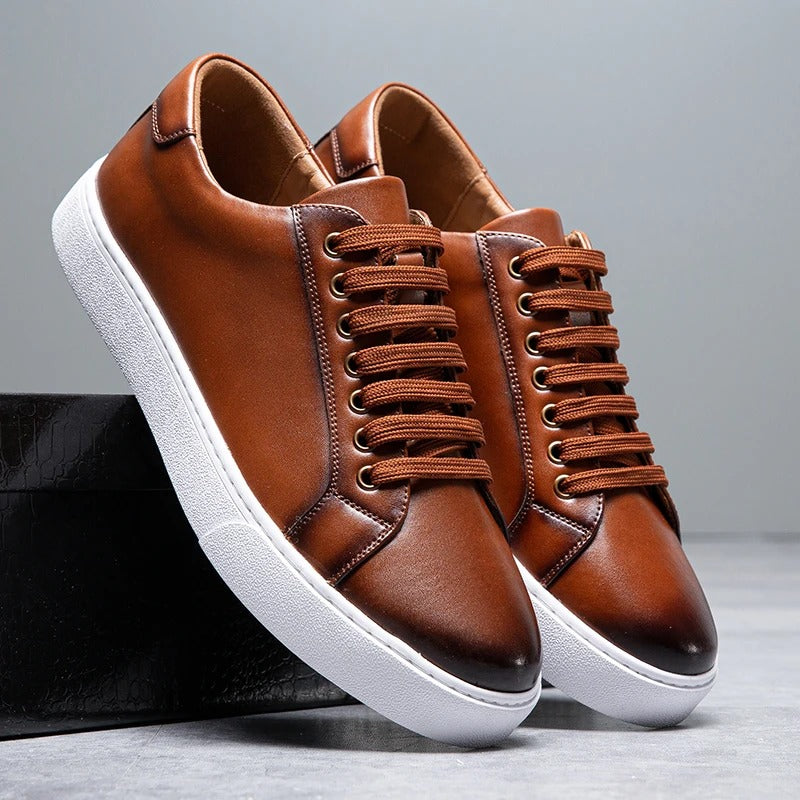 Comfortable men's Harrington low-top sneakers, ideal everyday footwear for all-day wear.