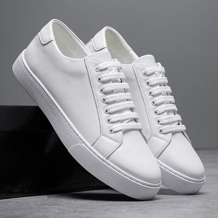 Harrington men's dress sneakers, a comfortable low-top shoe combining smart casual appeal with durability.