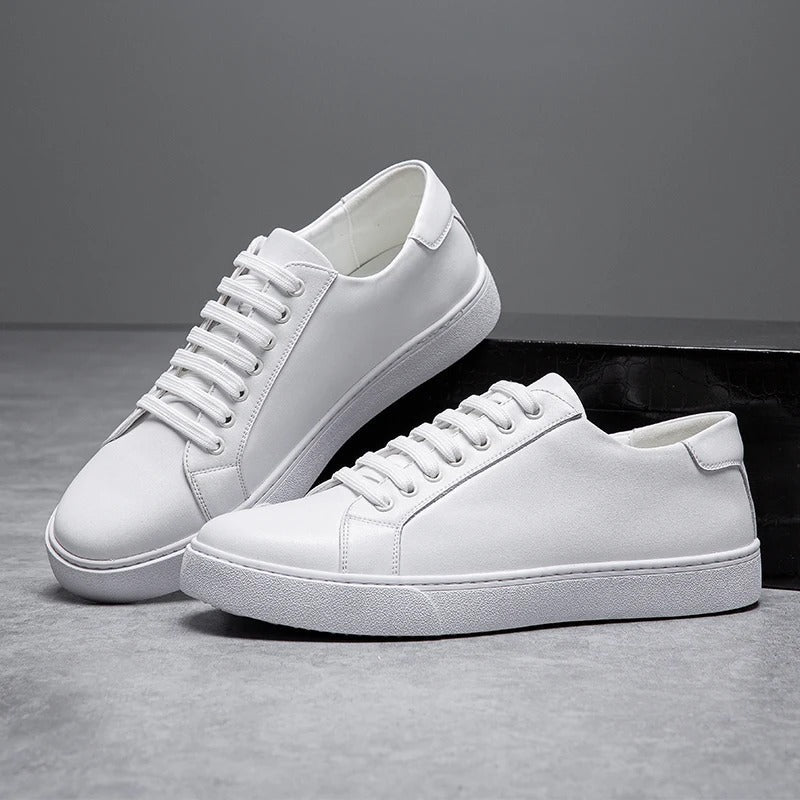 Elegant men's low-top casual shoes, Harrington sneakers offer polished style and exceptional comfort.