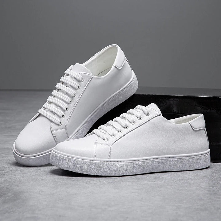 Elegant men's low-top casual shoes, Harrington sneakers offer polished style and exceptional comfort.