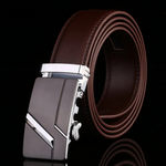 Brown / Silver