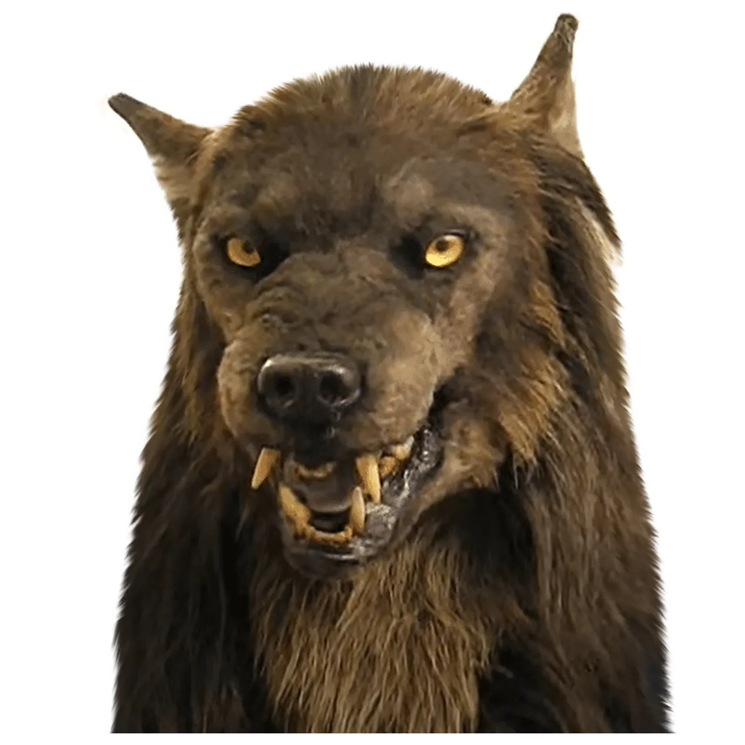 Front view of a realistic men's scary wolf mask, great for Halloween, costume parties, and detailed cosplay.