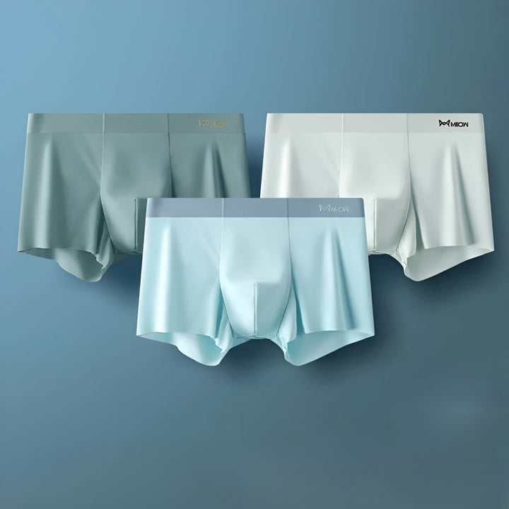 Lightweight men's seamless boxer briefs, ideal for travel and quick-dry convenience.