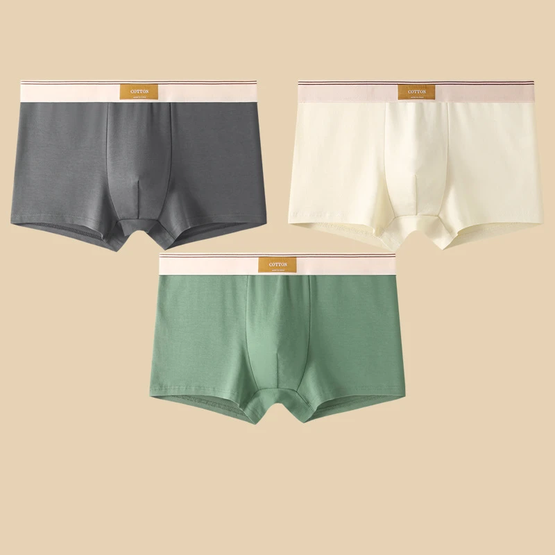 Display of men's comfort underwear: stay-tucked performance boxer briefs for daily fashion & activity.