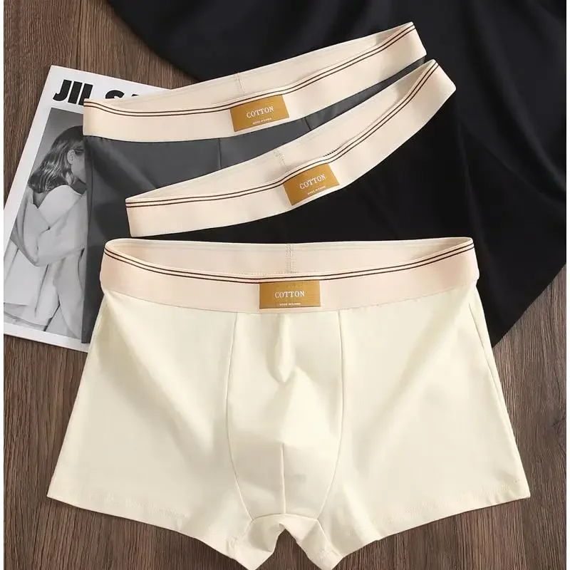 Athletic men's boxer briefs with a no-roll waistband for stay-tucked, mid-rise everyday wear.