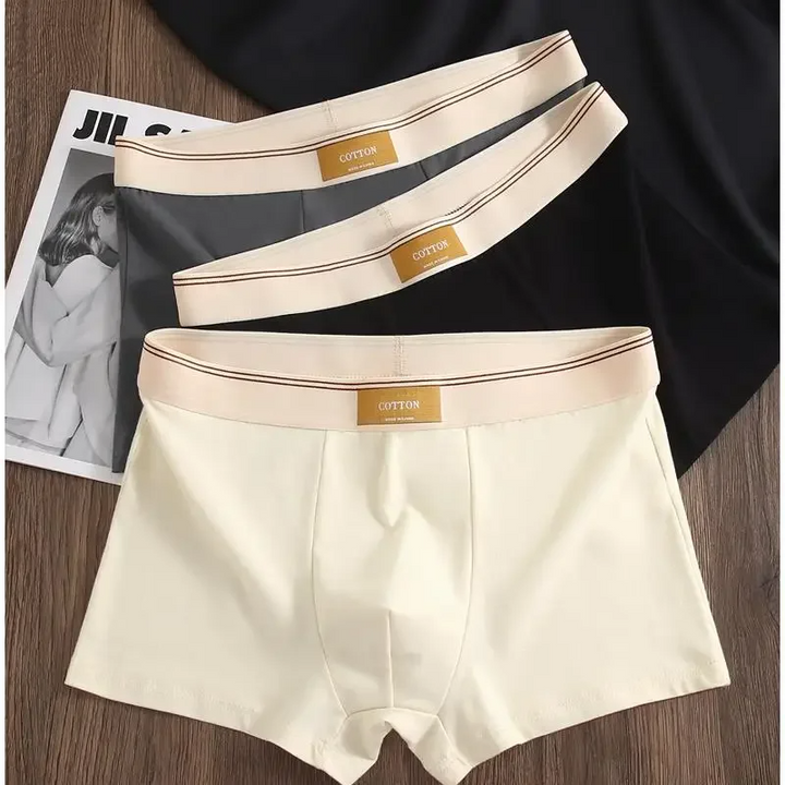 Athletic men's boxer briefs with a no-roll waistband for stay-tucked, mid-rise everyday wear.