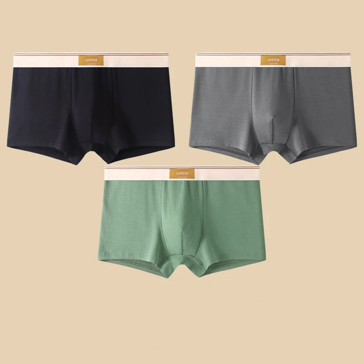Comfortable men's performance boxer briefs with a flexible no-roll waistband, great for all-day wear.