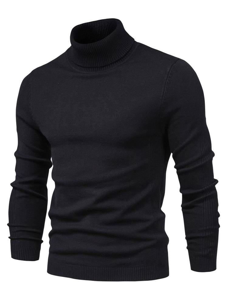 Men's classic winter fashion: a warm, comfortable roll neck sweater pullover.