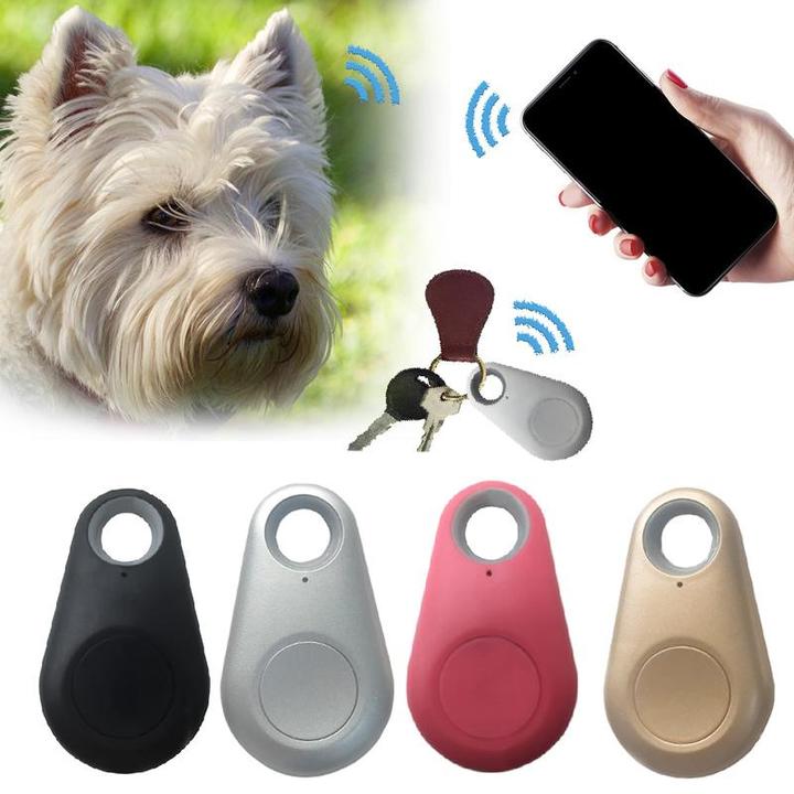 Waterproof GPS tracker for dogs, small and anti-lost, perfect for outdoor adventures.