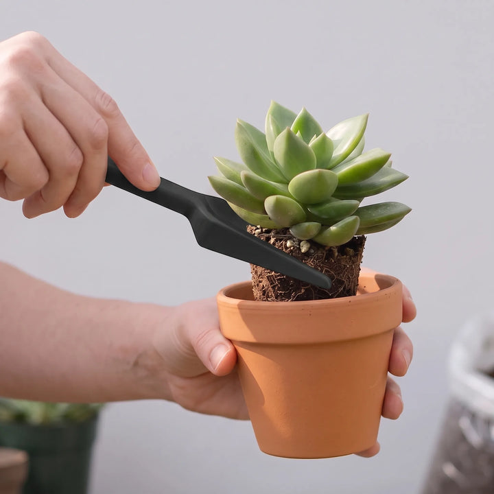 Miniature indoor plant care tool set for succulents & houseplants.
