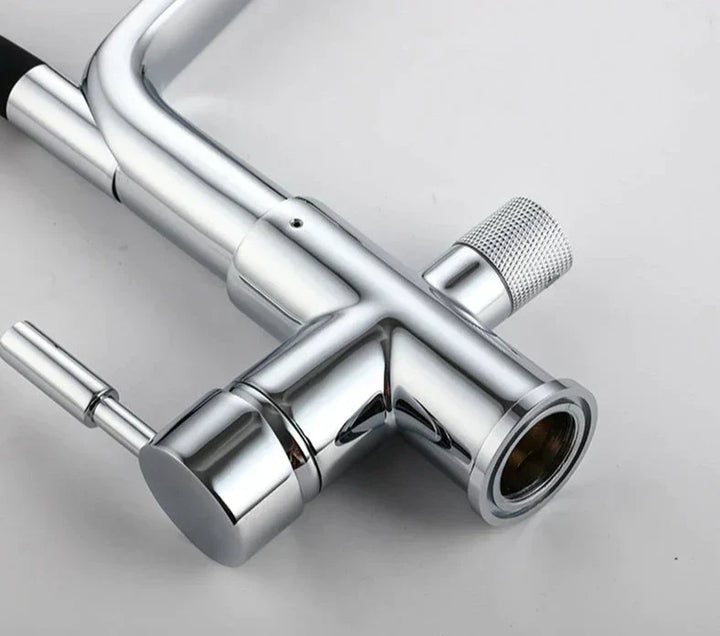 Premium plumbing fixture: modern kitchen faucet with double outlet & effective water filtration.