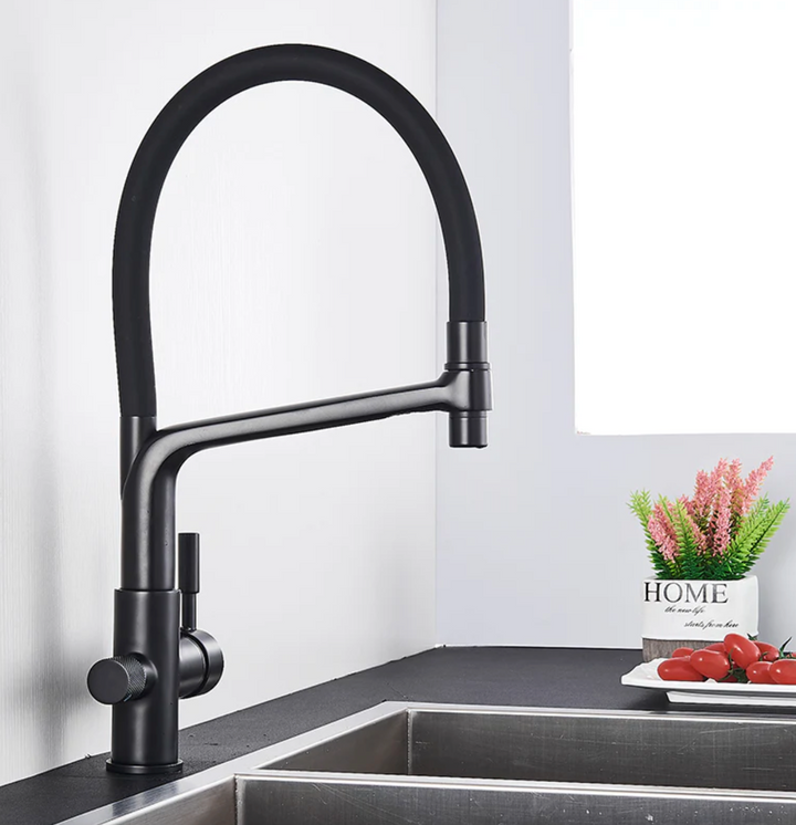 Efficient kitchen faucet with dual spouts and an advanced water filter for cleaner, healthier water.