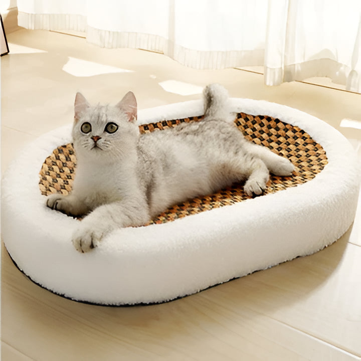 Modern cat scratcher lounge and cozy bed for feline play & relaxation, stylish pet furniture.