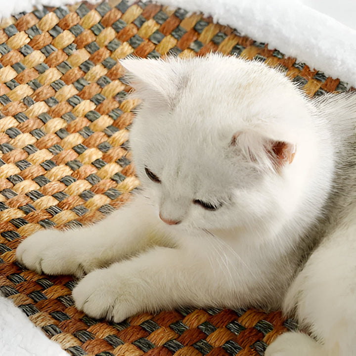 Stylish modern cat lounge bed and scratcher, perfect cozy pet furniture for feline relaxation & home decor.
