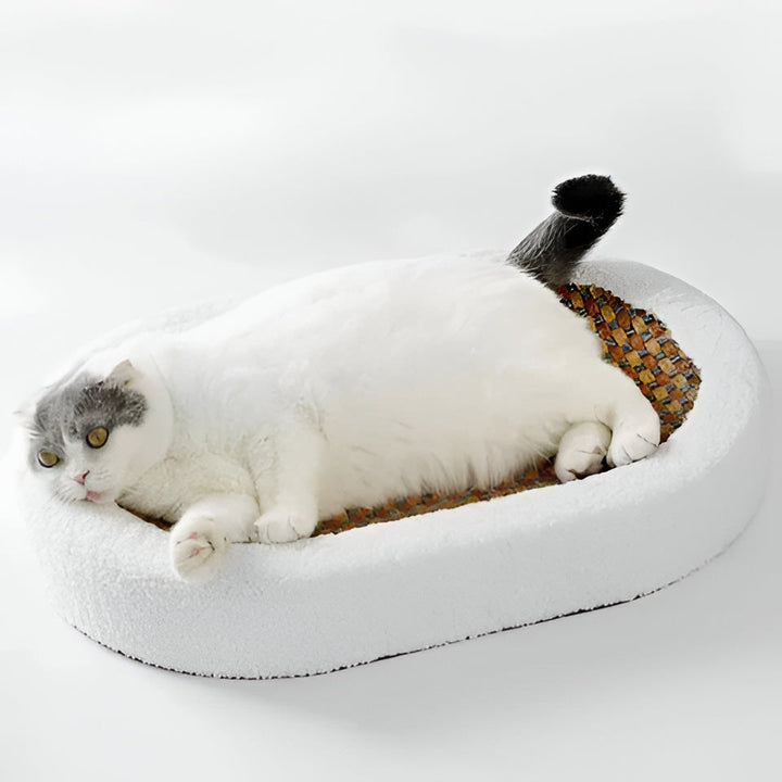 Multi-functional cat scratcher, cozy bed, and lounge for feline play & relax, a modern cat accessory.