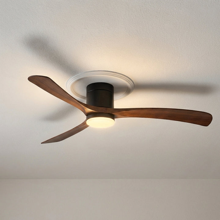 Modern ceiling fan with LED light. Provides optimal air circulation & bright lighting for indoor spaces.