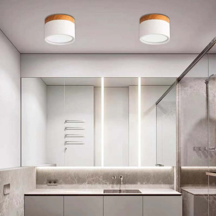LumiModo energy-saving LED ceiling lamp, Morandi design, ideal for sustainable home lighting.