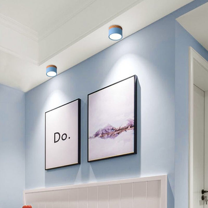 Energy-efficient Morandi style LED ceiling light, LumiModo, brightens any modern home.