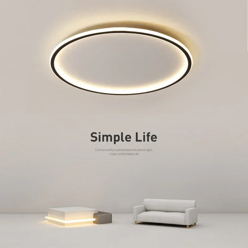 Hallway lighting: sleek LED Ceiling Light, black metal, contemporary style
