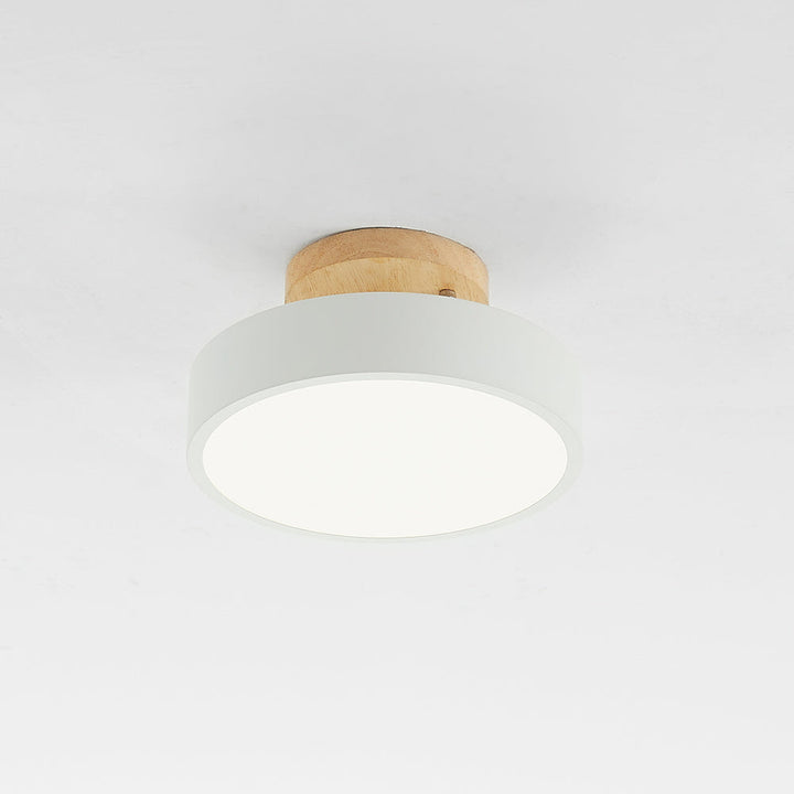 LunaLux modern LED ceiling light, energy-efficient and stylish for home decor.