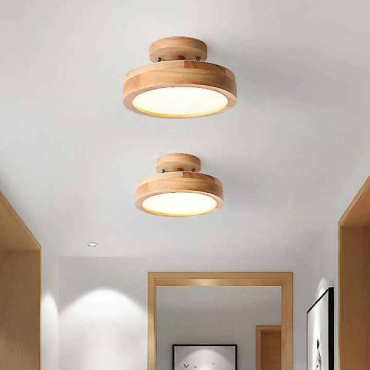 LunaLux modern LED ceiling fixture, ideal for dining room ambient lighting.