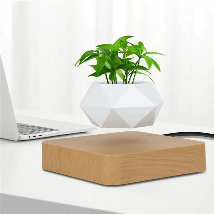 Levitating plant holder for desk, modern design, perfect for office or home.