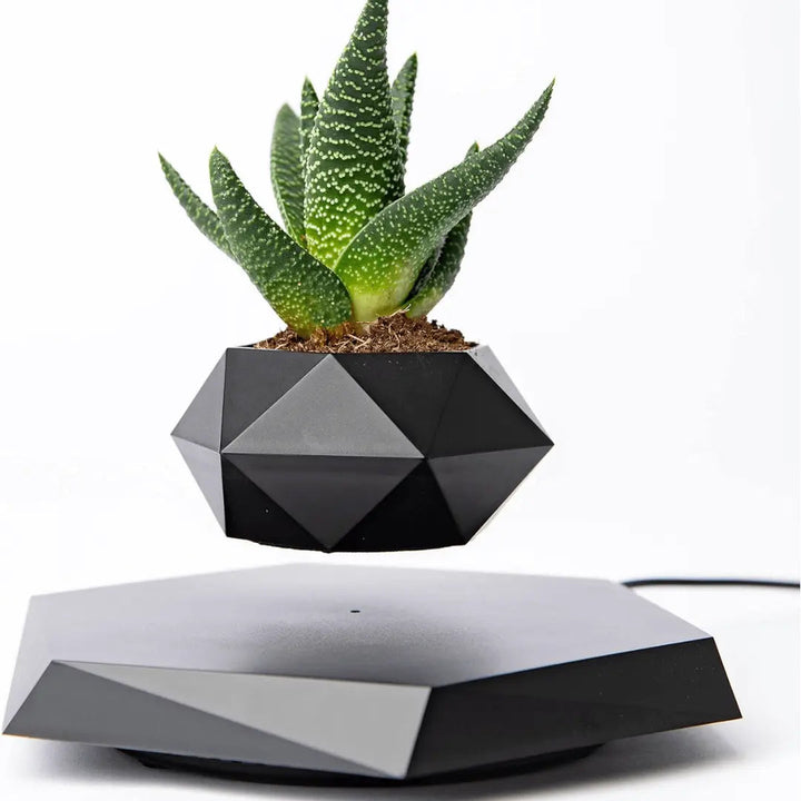 Unique gift: magnetic levitation plant pot, stylish indoor planter for modern homes.