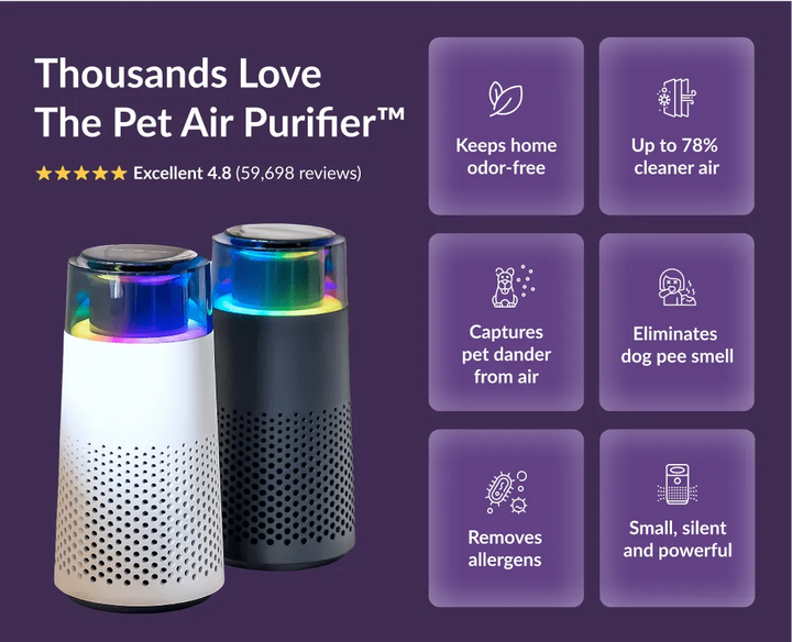 Clean home solution: PetFresh pet odor eliminator & humidifier, providing fresh, pure air.