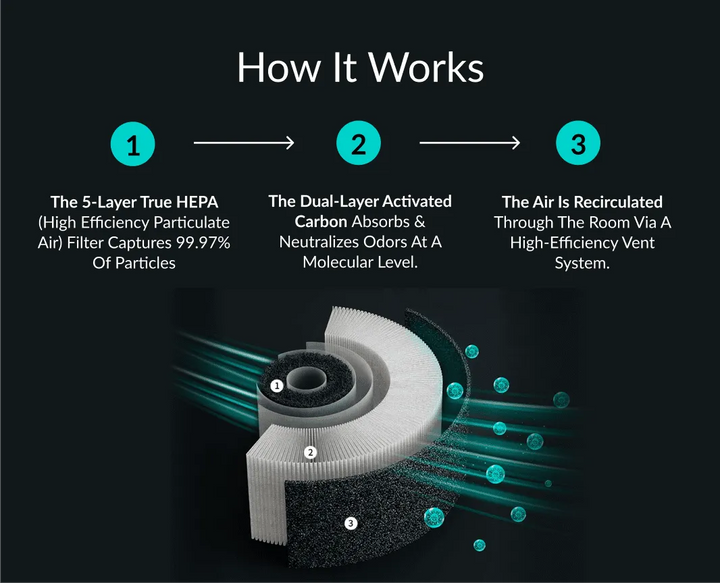 PetFresh: a dual-action humidifier and pet odor eliminator, perfect for a fresh, clean home.