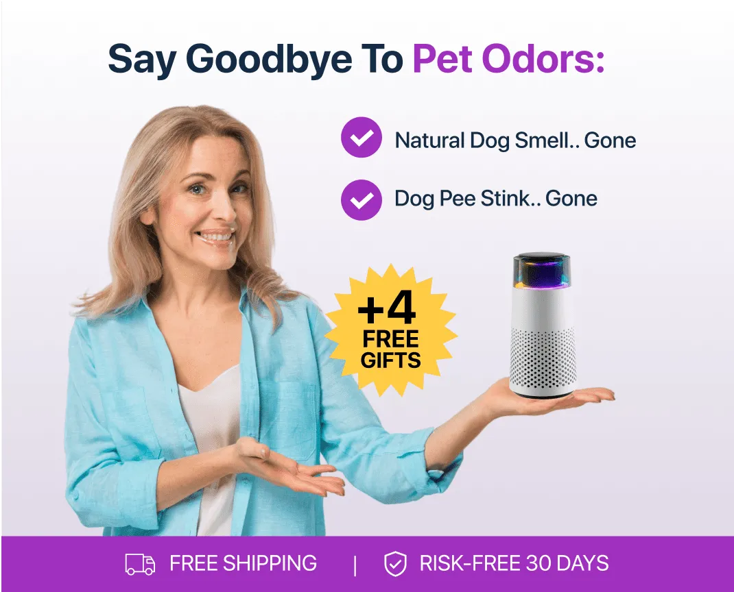 Elegant PetFresh pet odor eliminator and humidifier, a must-have for every pet owner.