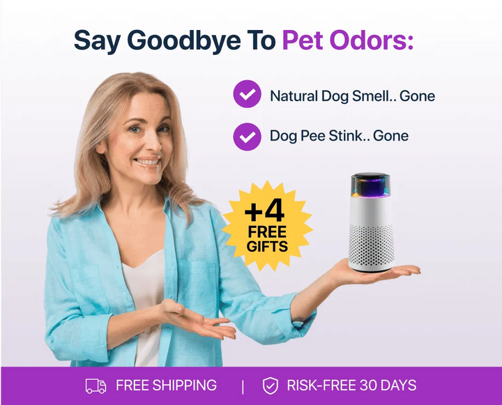Elegant PetFresh pet odor eliminator and humidifier, a must-have for every pet owner.
