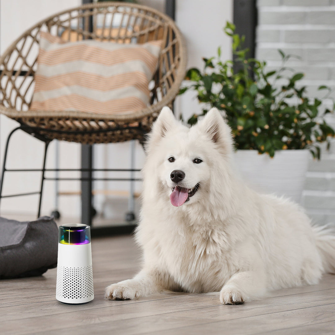 Innovative PetFresh pet odor eliminator, humidifier, and air purifier for ultimate fresh air.