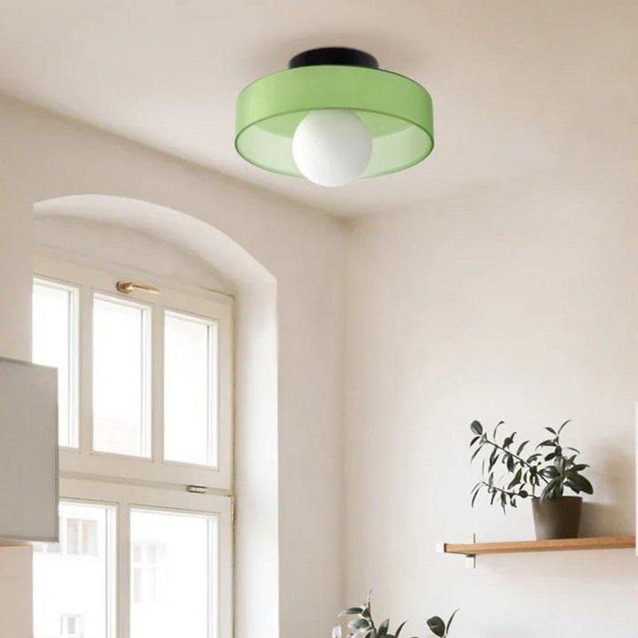 Versatile modern round ceiling lamp, ideal for hallway & general home lighting.