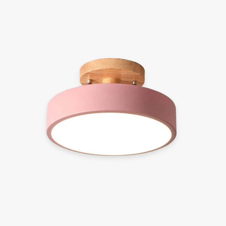 Nova LED ceiling light, a sleek, modern, round, energy-efficient indoor fixture.
