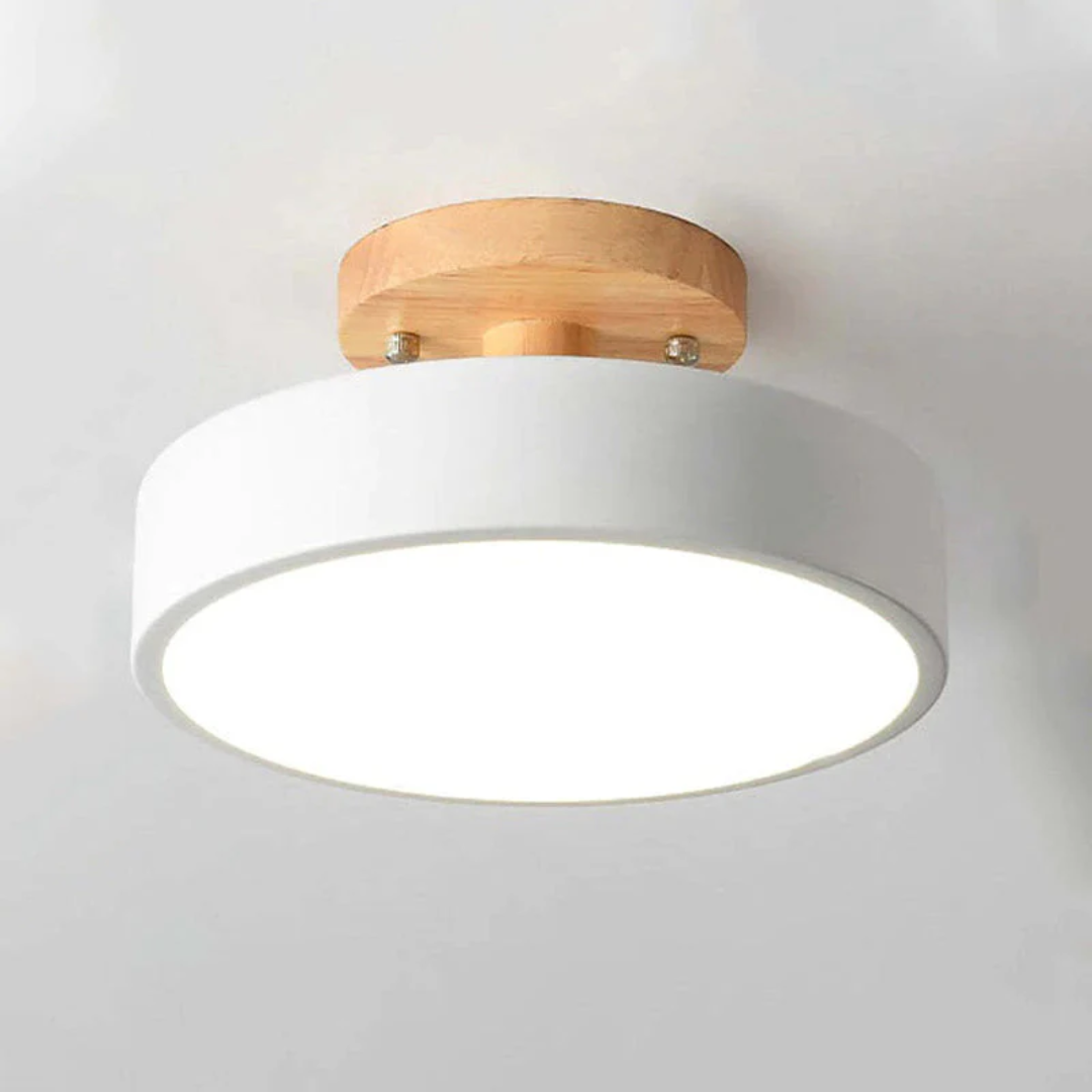Energy-saving LED ceiling light Nova, round and modern for optimal home lighting.