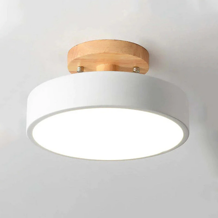 Energy-saving LED ceiling light Nova, round and modern for optimal home lighting.