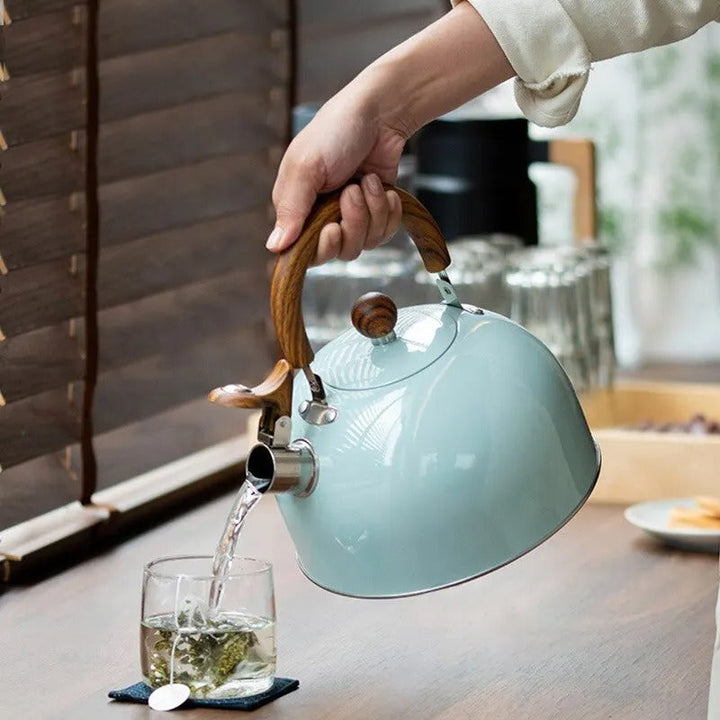 Whistling kettle made of stainless steel, sitting on a kitchen counter, ready for boiling water.