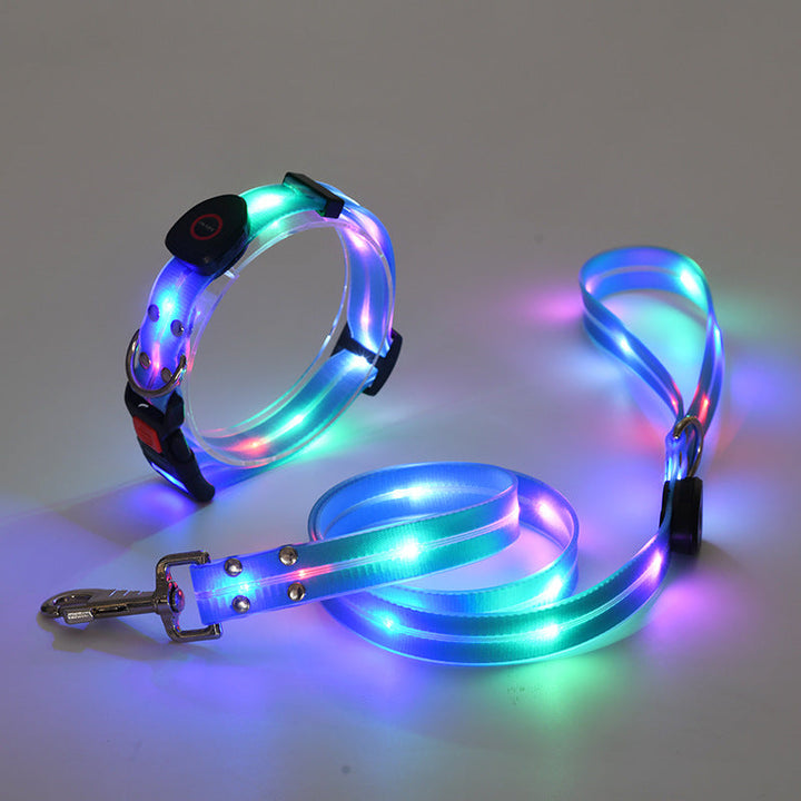 NightBright LED dog collar & leash set for pet safety and high visibility during night walks.