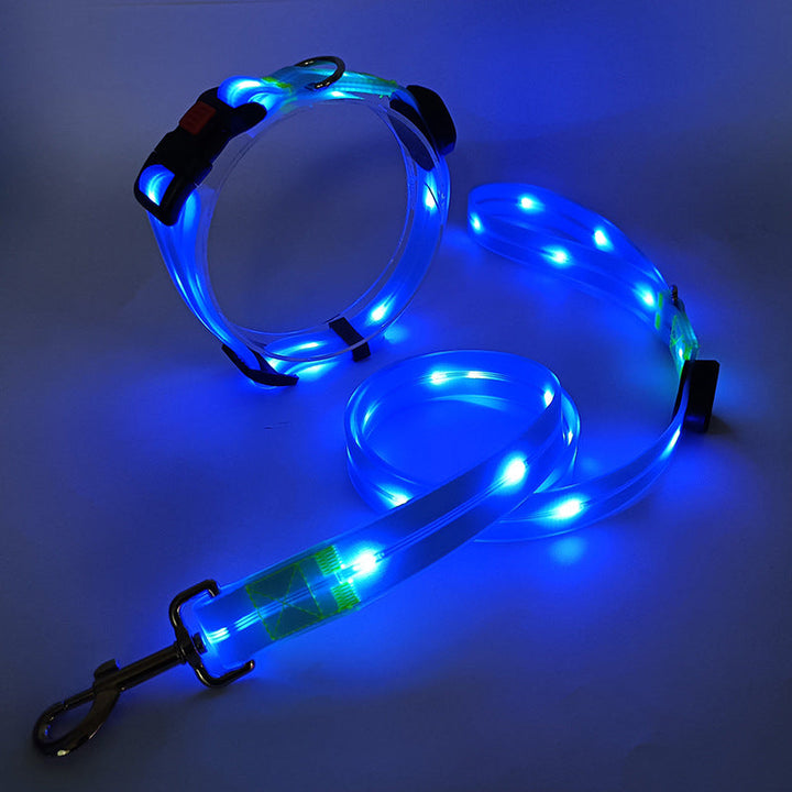 Close-up of bright LED lights on NightBright dog collar, ensuring maximum night visibility for your pet.