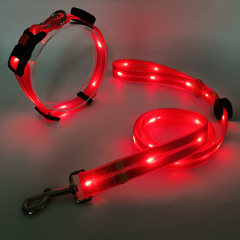 LED dog leash, glowing brightly for enhanced night visibility & pet safety. Durable, rechargeable accessory.