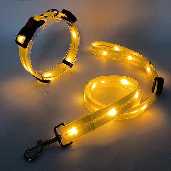 Happy dog on a night walk with NightBright LED dog collar & leash set, ensuring safety and visibility.