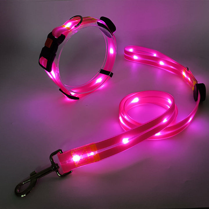 Rechargeable LED dog collar and leash, providing bright night visibility for safe outdoor dog adventures.