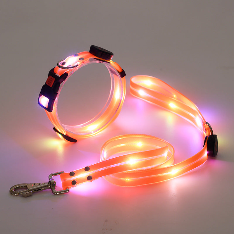 Vibrant glowing LED dog collar & leash set, essential dog accessories for night safety and pet security.