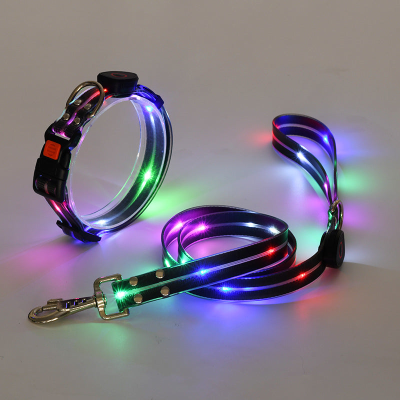 Comfortable & bright LED dog collar and leash set for easy, safe night walks. Essential pet safety gear.
