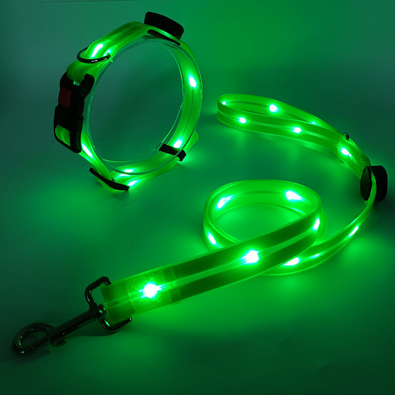 Outdoor dog gear: NightBright LED collar & leash providing high visibility for adventurous night walks and safety.