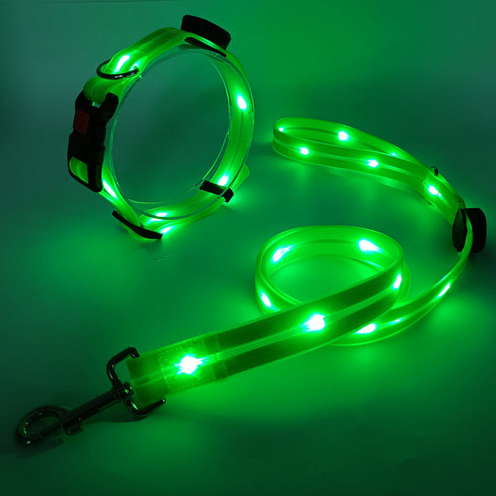 Outdoor dog gear: NightBright LED collar & leash providing high visibility for adventurous night walks and safety.